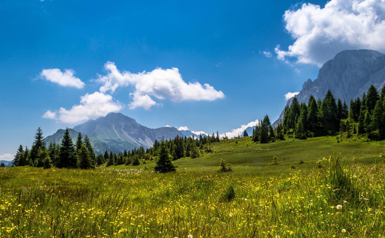 Residence Cavanis Wellness & Spa * Sappada