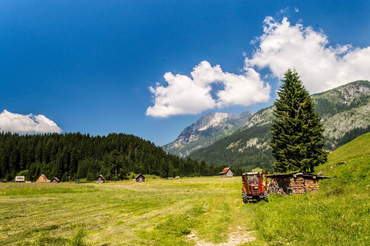 Residence Cavanis Wellness & Spa Aparthotel Sappada