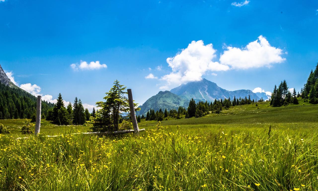 Residence Cavanis Wellness & Spa Sappada